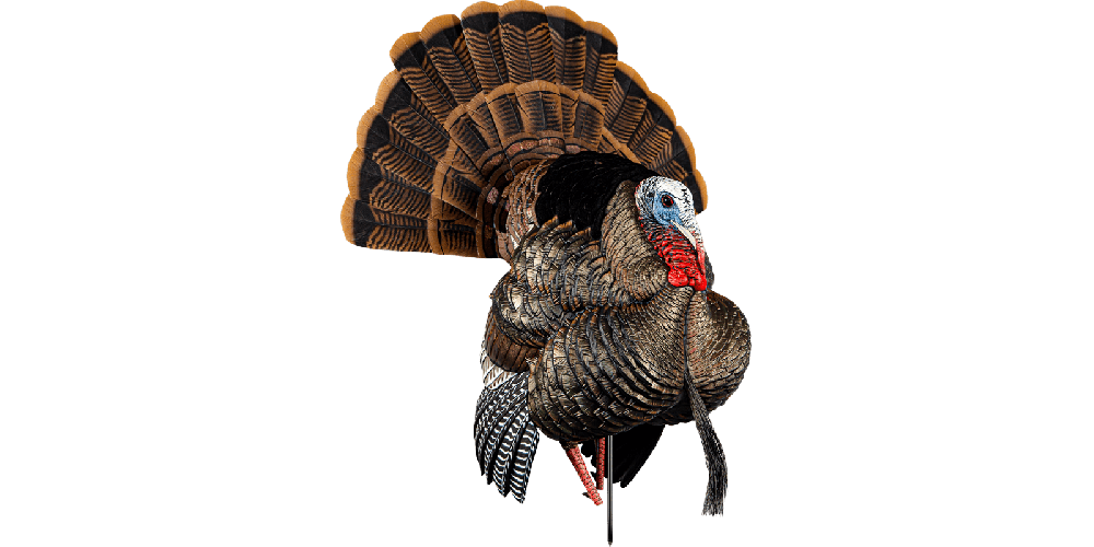 AVIAN TURKEY DECOY HDR STRUTTER