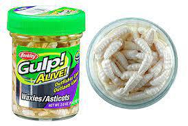 GULP! ALIVE WAXIES