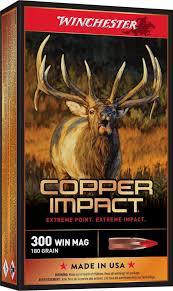 Winchester Copper Impact 300WSM